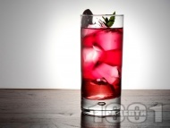   Passoa Cranberry      